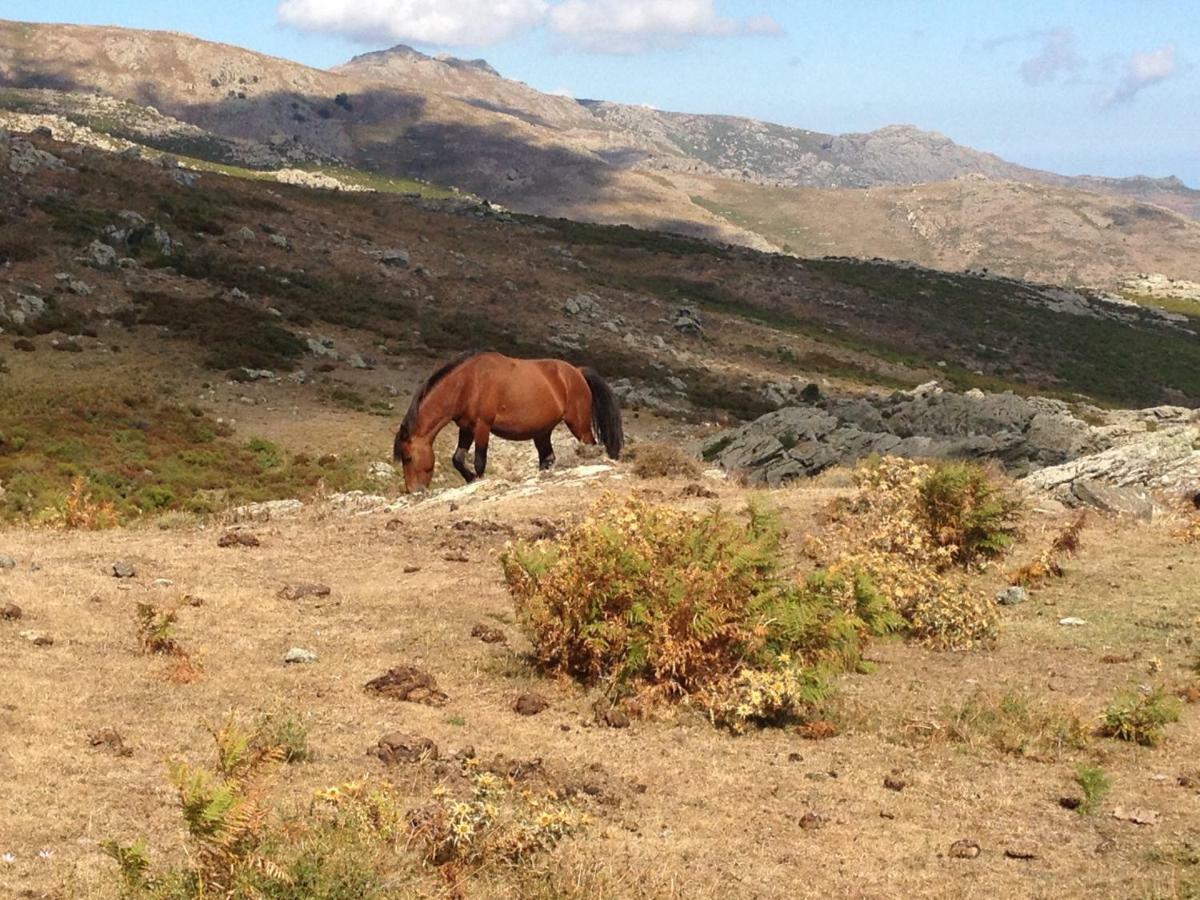 Nuits Magiques Au Village Entre Mer Et Montagnes Bigorno Eksteriør billede