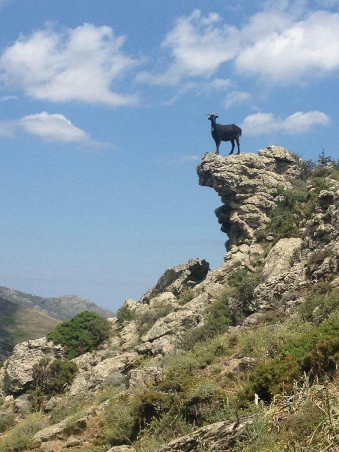 Nuits Magiques Au Village Entre Mer Et Montagnes Bigorno Eksteriør billede
